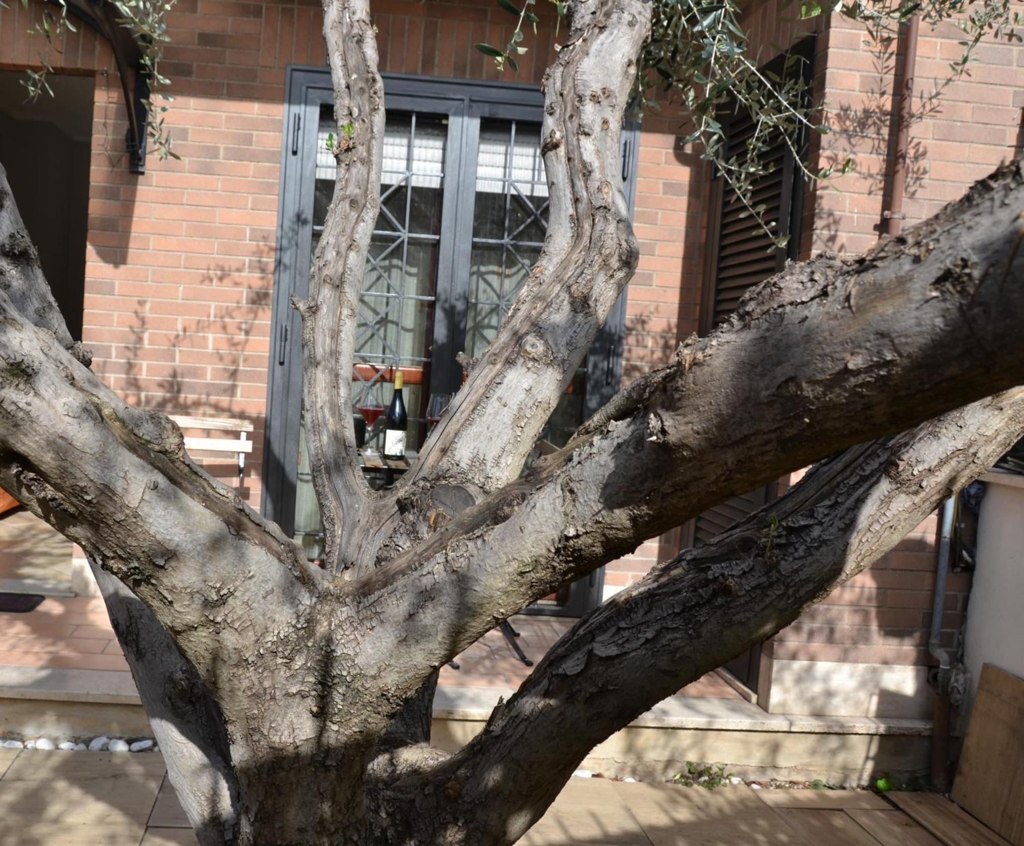 La Casetta Di Borghesiana Roma Esterno foto